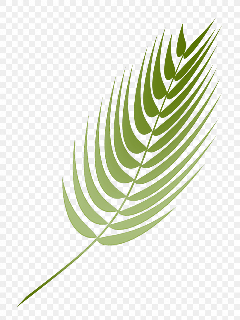 Feather, PNG, 1439x1920px, Leaf, Feather, Plant, Vascular Plant Download Free