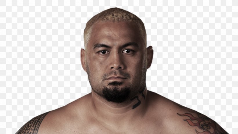 Mark Hunt UFC Fight Night 52: Hunt Vs. Nelson Mixed Martial Arts Boxing Heavyweight, PNG, 1600x900px, Mark Hunt, Aggression, Alistair Overeem, Beard, Boxing Download Free