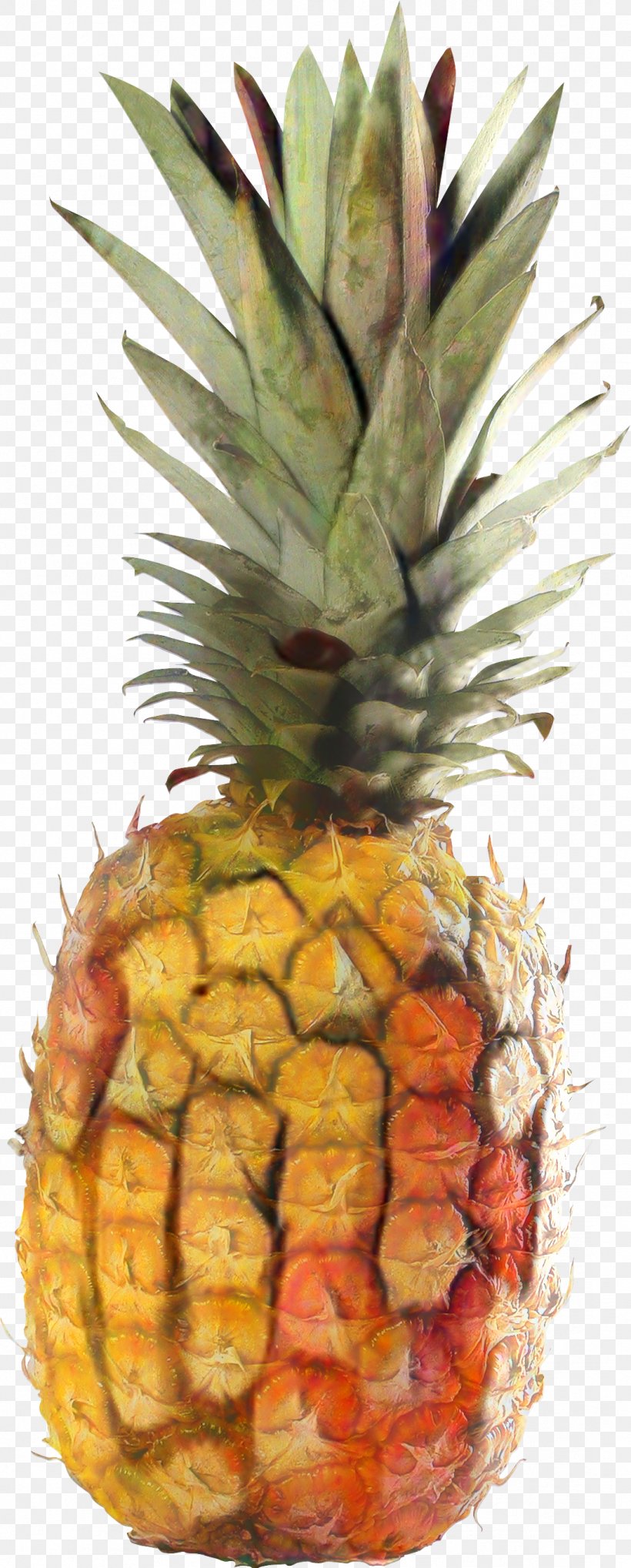 Pineapple, PNG, 1088x2703px, Pineapple, Ananas, Food, Fruit, Natural Foods Download Free