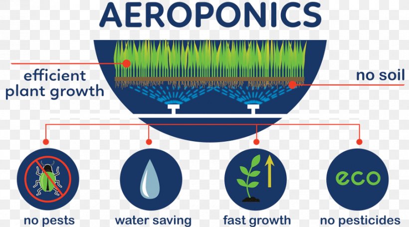 Aeroponics Agriculture Pest Hydroponics Soil, PNG, 900x500px, Aeroponics, Agriculture, Air, Area, Biotechnology Download Free