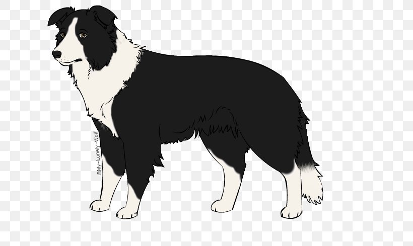 Border Collie Karelian Bear Dog Dog Breed Herding Dog, PNG, 699x489px, Border Collie, Australian Shepherd, Bear, Breed, Canidae Download Free