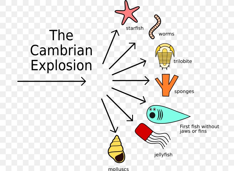 Cambrian Explosion Evolution Geological Period Organism, PNG, 716x599px, Cambrian Explosion, Area, Billion Years, Brand, Cambrian Download Free