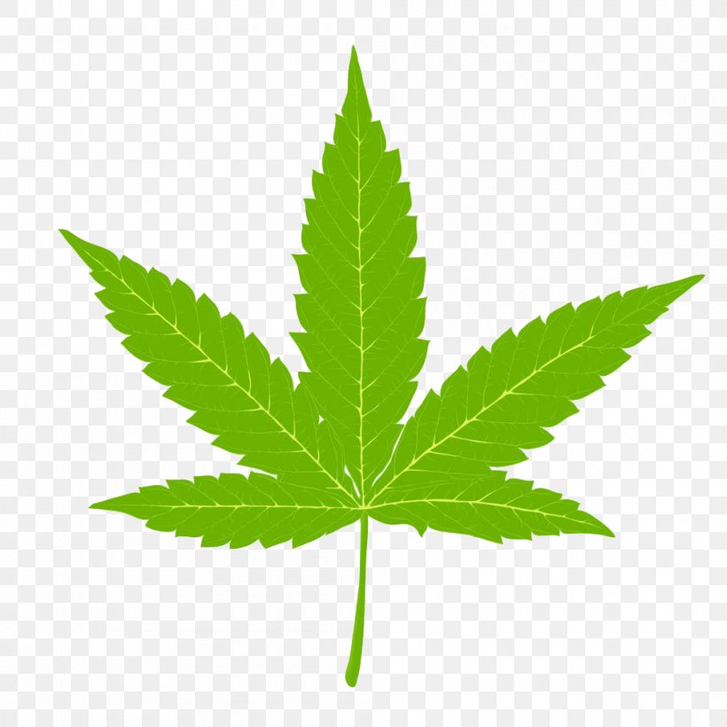 Cannabis Hemp Marijuana Clip Art, PNG, 1000x1000px, Cannabis, Cannabis Sativa, Cannabis Smoking, Grass, Hashish Download Free