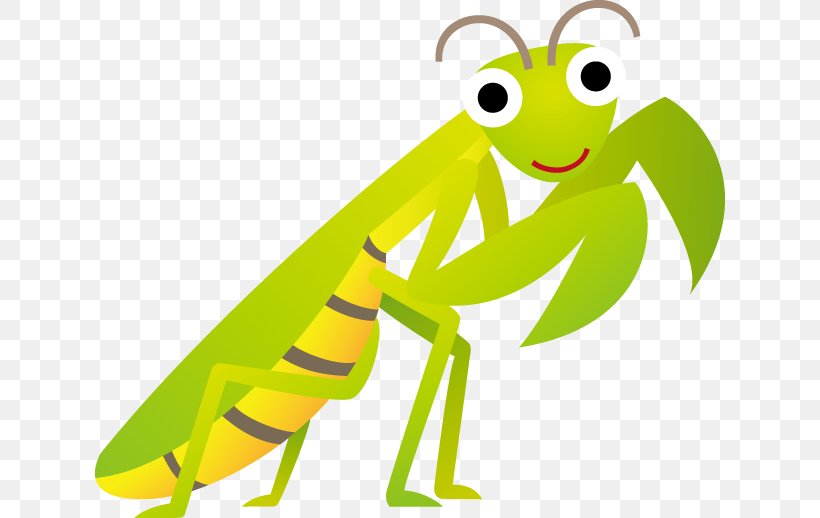 Insect Cartoon Clip Art, PNG, 630x518px, Insect, Amphibian, Artwork, Cartoon, Fauna Download Free