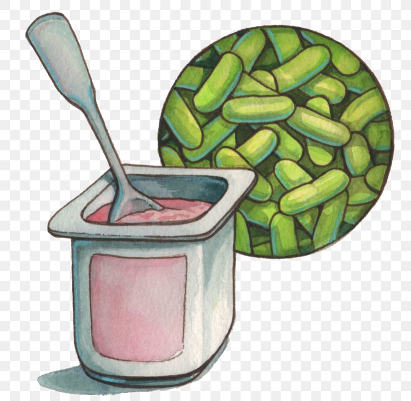 Bacteria Cartoon, PNG, 800x800px, Probiotic, Antibiotics, Bacteria, Cancer, Dietary Supplement Download Free