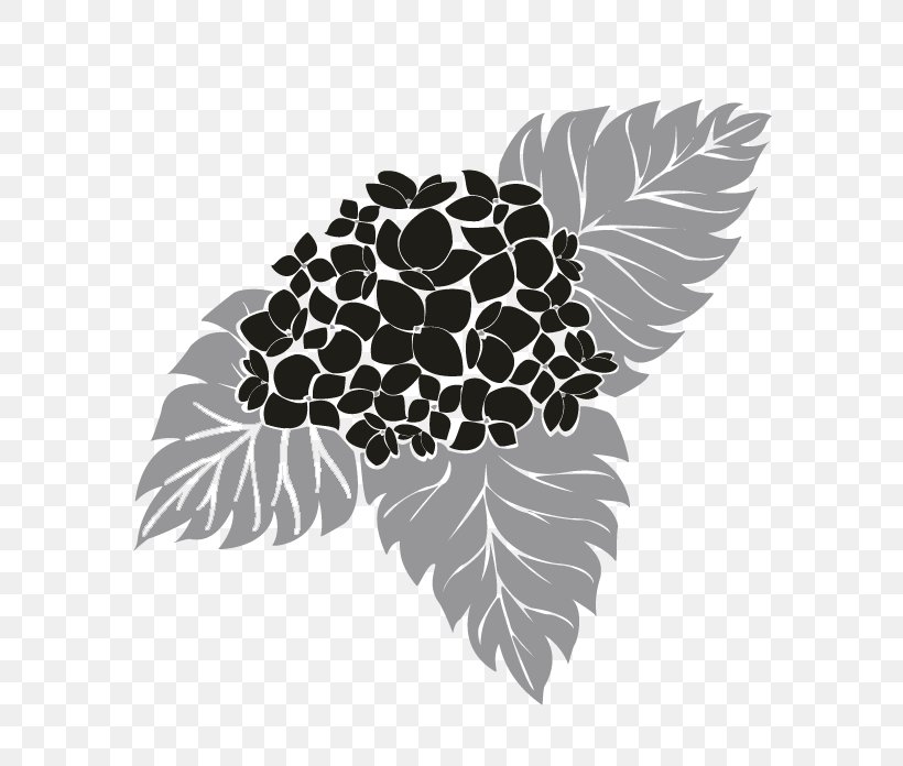 Black And White Visual Arts Leaf Tree Plant, PNG, 696x696px, Black And White, Art, Black, Leaf, Organism Download Free