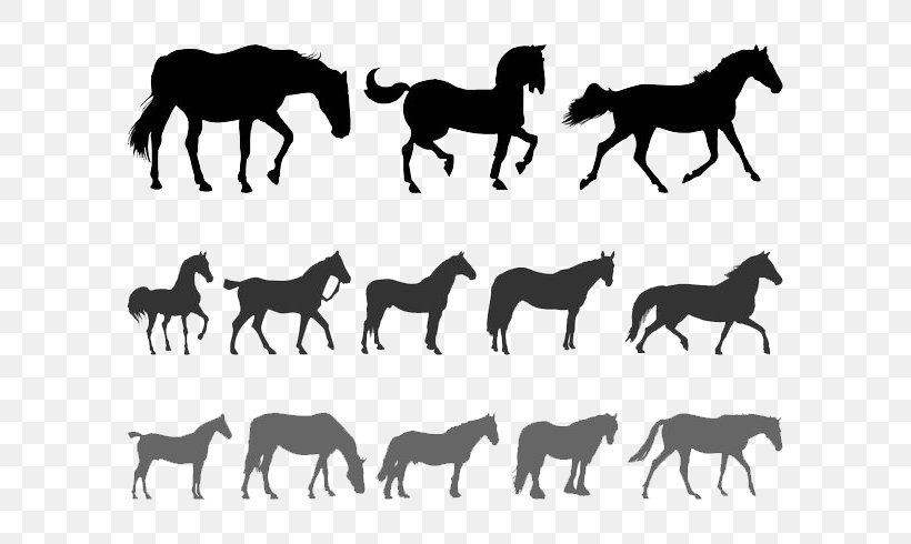 Horse Silhouette Equestrianism Clip Art, PNG, 700x490px, Horse, Animal, Animal Figure, Black And White, Colt Download Free