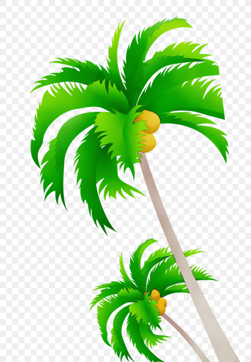 Palm Trees, PNG, 803x1181px, Watercolor, Cartoon, Coconut, Coconut Milk, Coconut Water Download Free