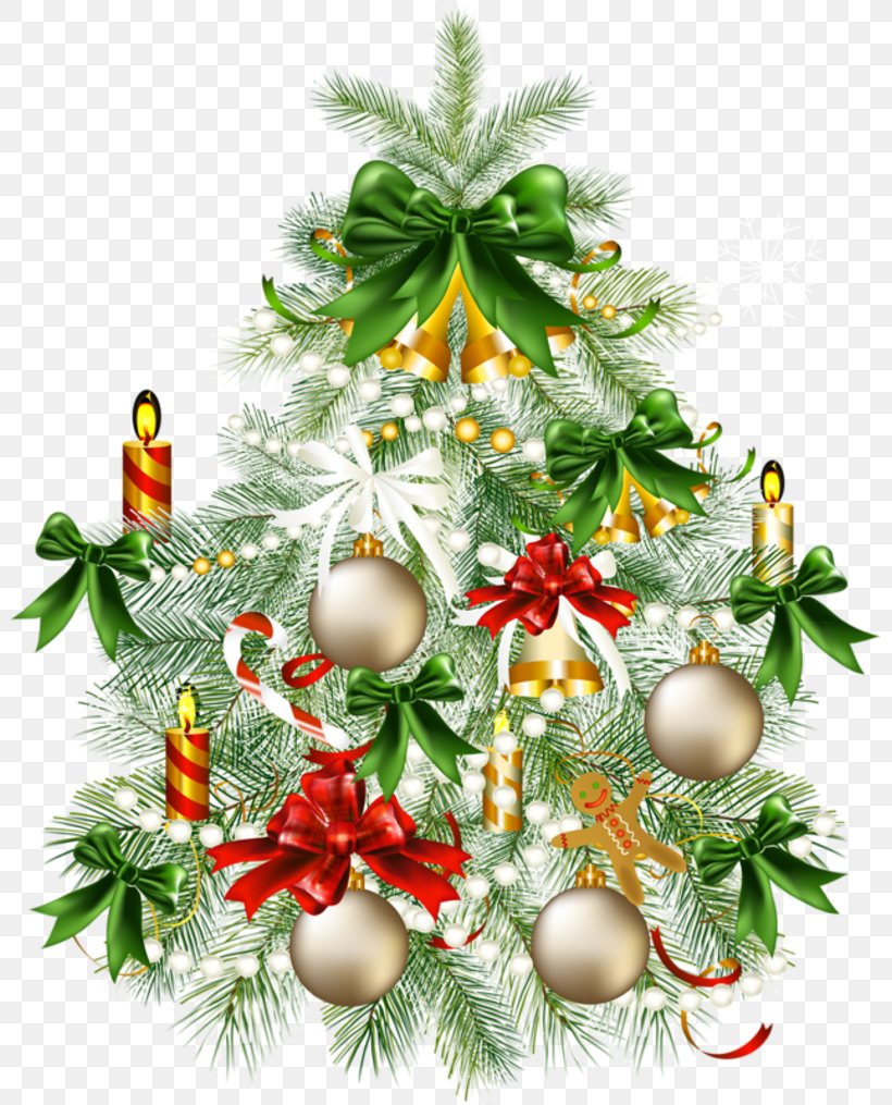 Christmas Ornament Christmas Tree Christmas Decoration Clip Art, PNG, 800x1015px, Christmas Ornament, Branch, Christmas, Christmas And Holiday Season, Christmas Card Download Free