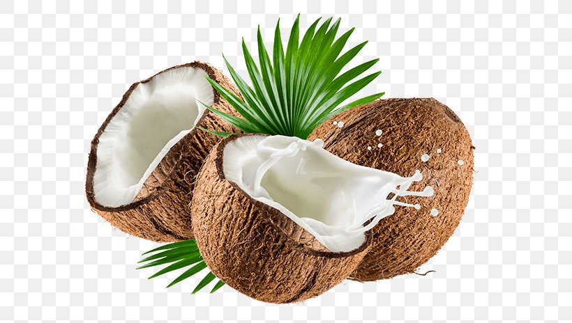 Coconut Milk Powder Organic Food Coconut Water, PNG, 662x464px, Milk, Coconut, Coconut Milk, Coconut Milk Powder, Coconut Oil Download Free