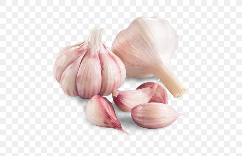 Garlic Shallot Vegetable Chives Human Papillomavirus Infection, PNG, 538x530px, Garlic, Allium, Chives, Elephant Garlic, Food Download Free