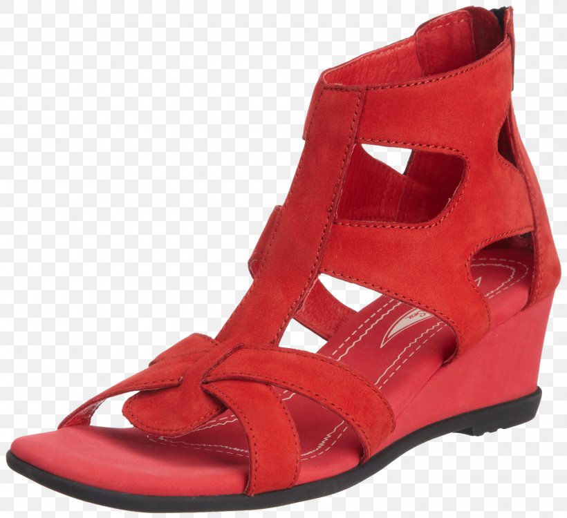 Sandal Shoe High-heeled Footwear Designer, PNG, 1500x1372px, Sandal, Caligae, Designer, Footwear, Google Images Download Free