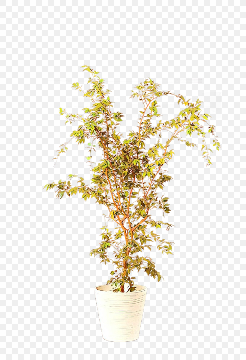 Tree Flower Plant Yellow Branch, PNG, 800x1200px, Tree, Branch, Flower, Flowerpot, Houseplant Download Free