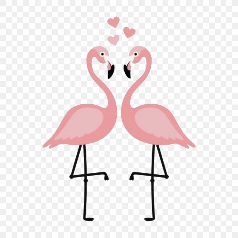 Flamingos Paper Clip Art Bird Poster, PNG, 1773x1773px, Watercolor, Cartoon, Flower, Frame, Heart Download Free