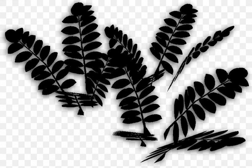 Font Leaf Branching, PNG, 900x600px, Leaf, Blackandwhite, Branching, Fern, Ferns And Horsetails Download Free