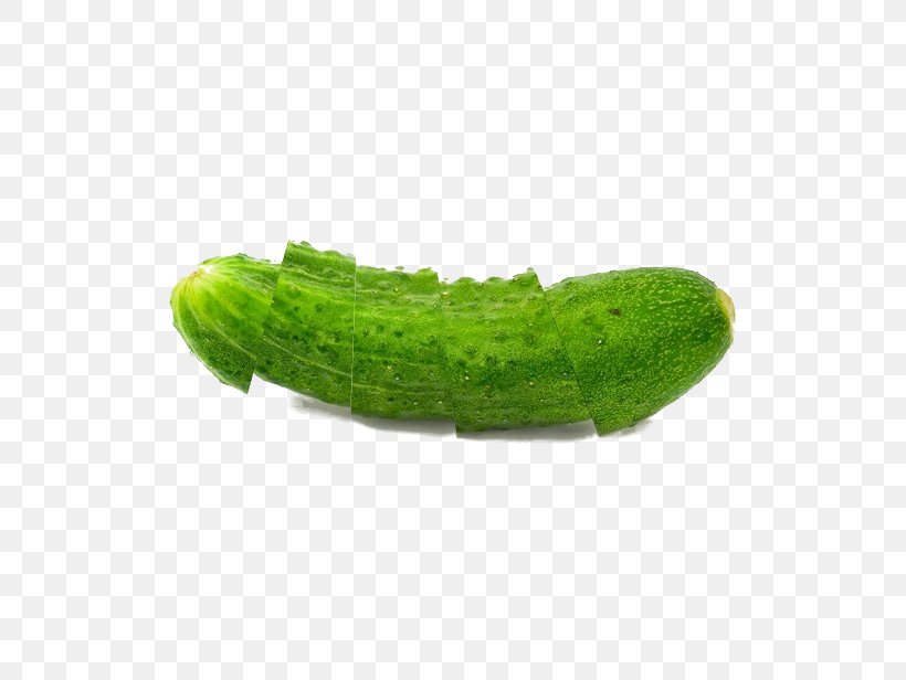 Juice Cucumber Vegetable, PNG, 593x616px, Juice, Caterpillar, Cucumber, Cucumber Gourd And Melon Family, Cucumber Juice Download Free