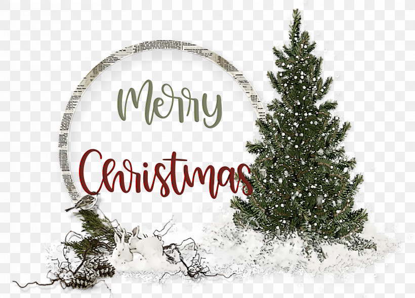 Merry Christmas, PNG, 3353x2411px, Merry Christmas, Branch, Christmas Day, Christmas Tree, Pine Download Free