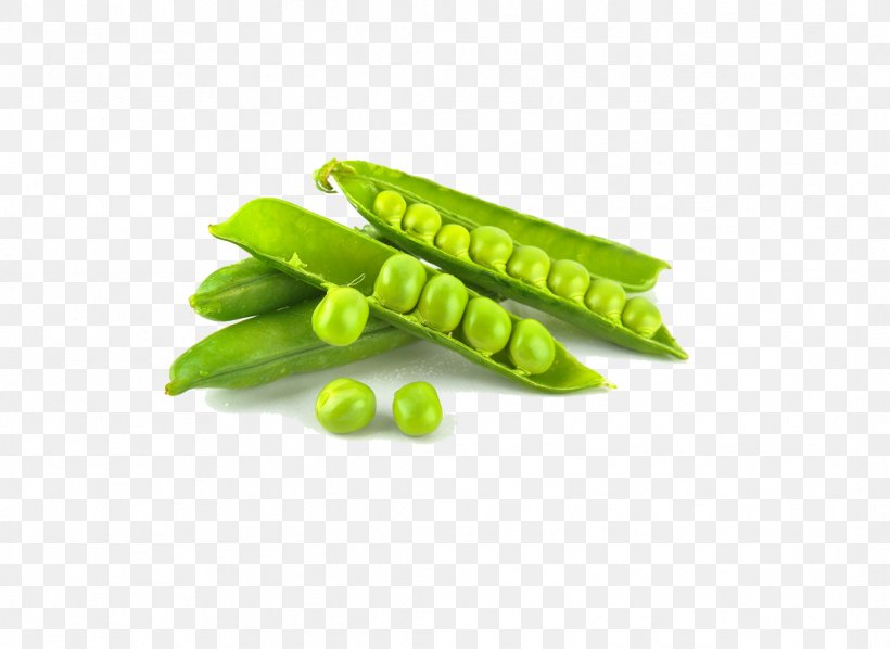 Snow Pea Vegetable Food Canning Fruit, PNG, 1063x776px, Snow Pea, Black Peas, Canning, Cooking, Edamame Download Free