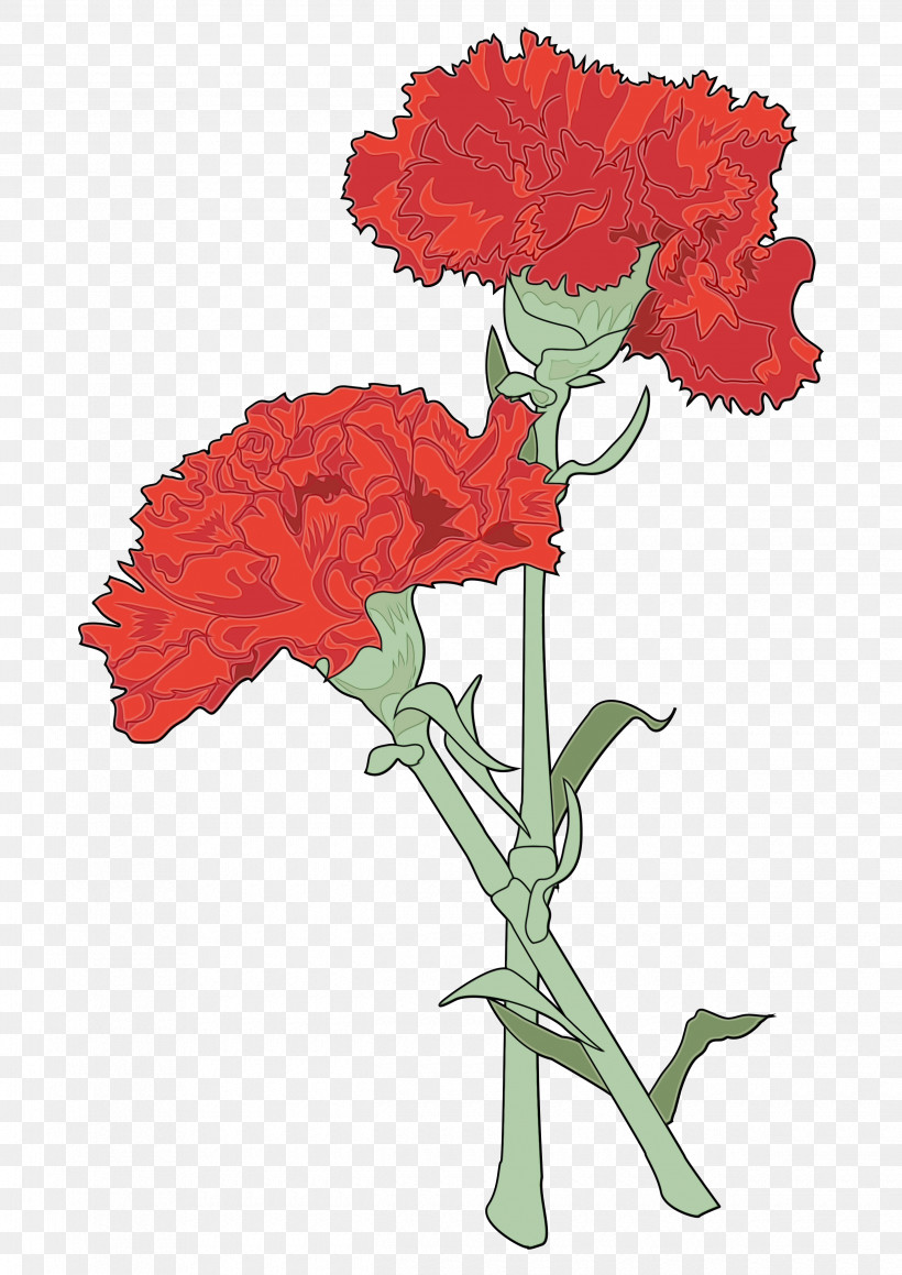 Flower Cut Flowers Carnation Plant Tagetes, PNG, 2480x3508px, Watercolor, Carnation, Cockscomb, Cut Flowers, Dianthus Download Free