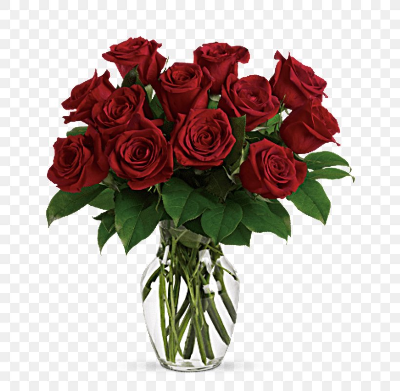 Garden Roses, PNG, 800x800px, Flower, Bouquet, Cut Flowers, Floribunda, Flowering Plant Download Free