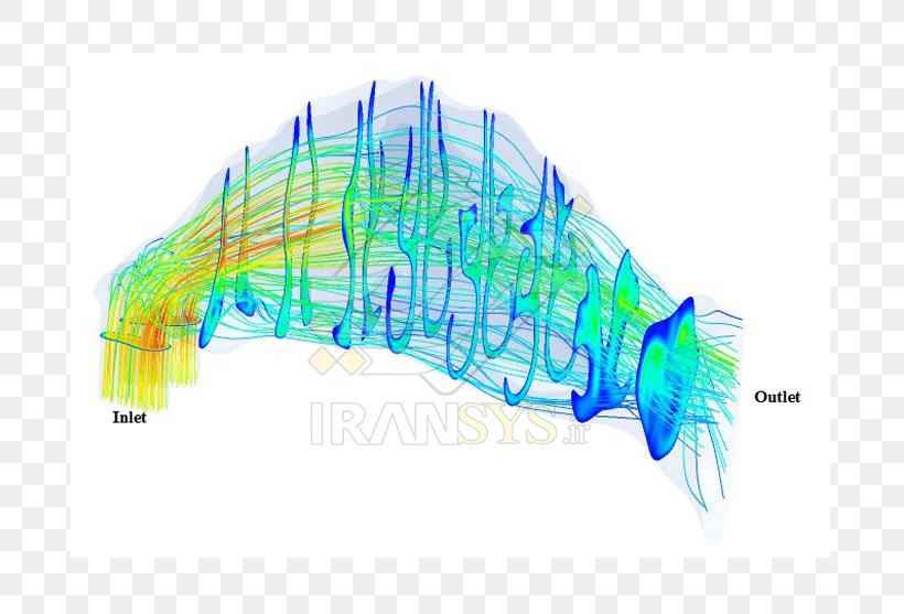 Plastic Line Organism, PNG, 691x557px, Plastic, Organism Download Free