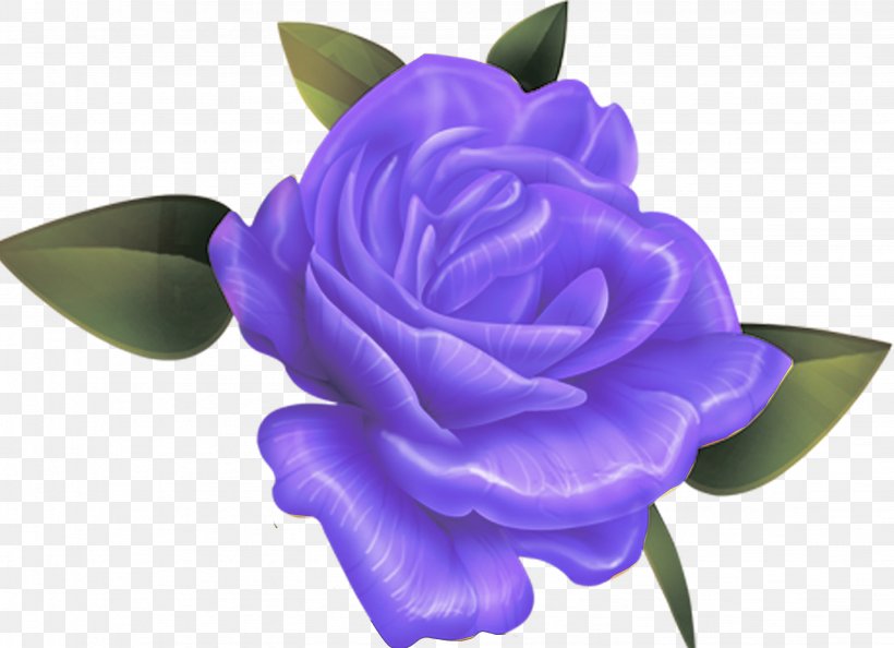 Beach Rose Rosaceae Flower Violet Blue, PNG, 2862x2076px, Beach Rose, Blue, Bluegreen, Cut Flowers, Flower Download Free