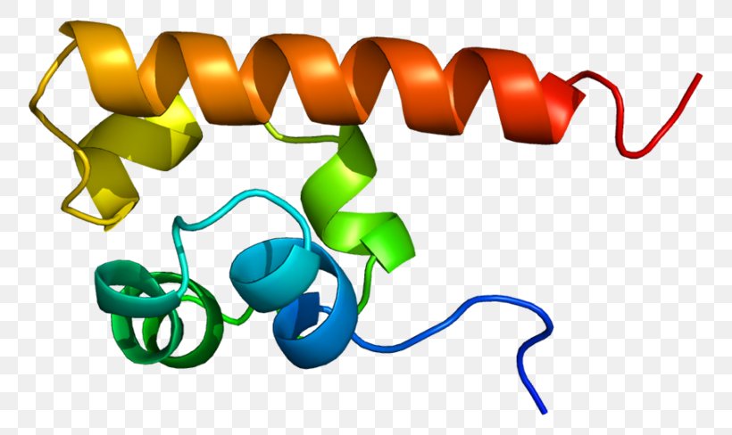 EPH Receptor A4 Ephrin Receptor Tyrosine Kinase, PNG, 800x488px, Eph Receptor A4, Area, Cell Membrane, Cell Surface Receptor, Cytokine Receptor Download Free