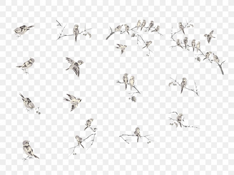 House Sparrow Eurasian Tree Sparrow Bird Flight, PNG, 4000x3000px, House Sparrow, Bird, Black And White, Body Jewelry, Eurasian Tree Sparrow Download Free