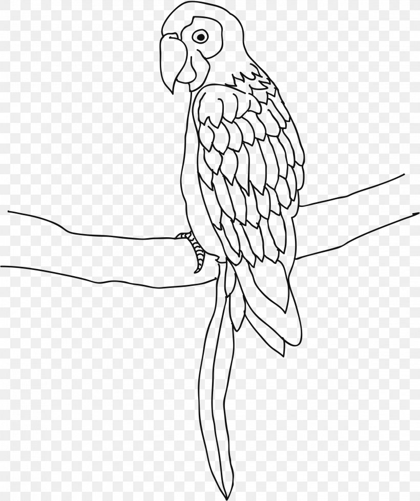 Parrot Bird Cockatiel Drawing Coloring Book, PNG, 2318x2767px, Parrot, Animal, Artwork, Ausmalbild, Beak Download Free