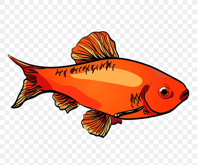 Fish Cartoon, PNG, 940x788px, Northern Red Snapper, Aquarium, Biology, Bonyfish, Cherry Barb Download Free
