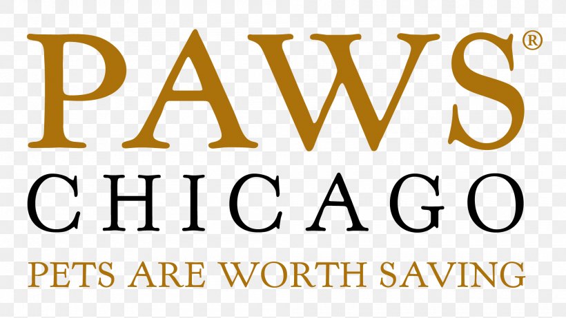 PAWS Chicago 5K Walk/Run Dog Cat No-kill Shelter, PNG, 2000x1128px, Dog, Adoption, Animal Shelter, Animal Welfare, Area Download Free