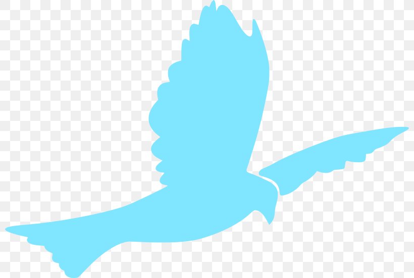 Doves As Symbols Clip Art, PNG, 800x552px, Doves As Symbols, Azure, Beak, Bird, Columbidae Download Free