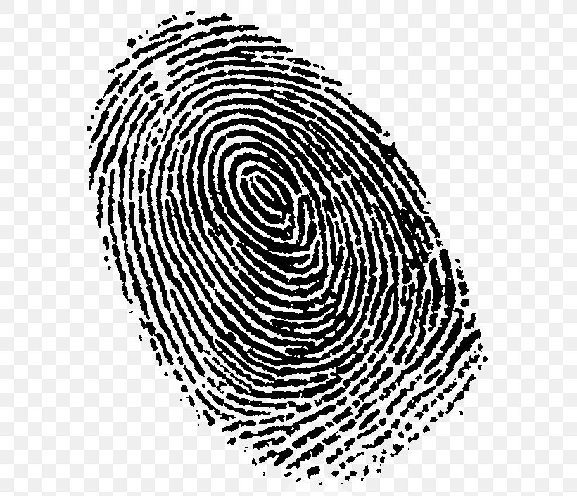 Fingerprint Live Scan Lawyer Crime, PNG, 604x706px, Fingerprint, Access Control, Biometrics, Black And White, Crime Download Free