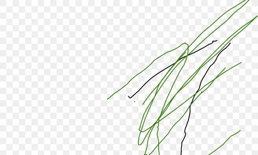 Grasses Plant Stem Leaf Line Art Angle, PNG, 960x580px, Grasses, Branch, Family, Flora, Grass Download Free