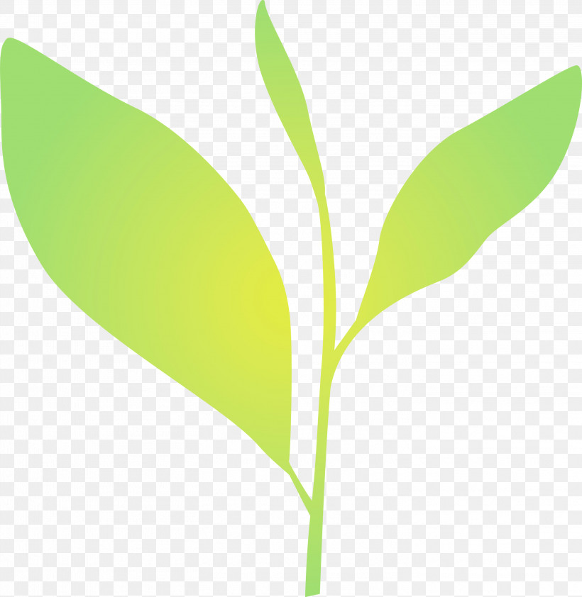 Leaf Plant Flower Plant Stem Lily Of The Valley, PNG, 2919x3000px, Tea Leaves, Eucalyptus, Flower, Leaf, Lily Of The Valley Download Free