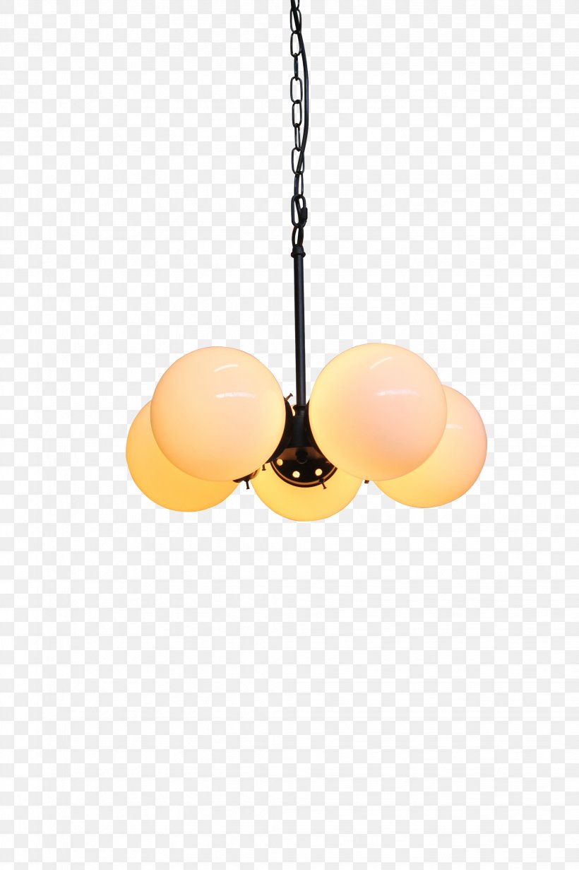 Product Design Light Fixture Ceiling, PNG, 2056x3088px, Light Fixture, Ceiling, Ceiling Fixture, Lamp, Lighting Download Free