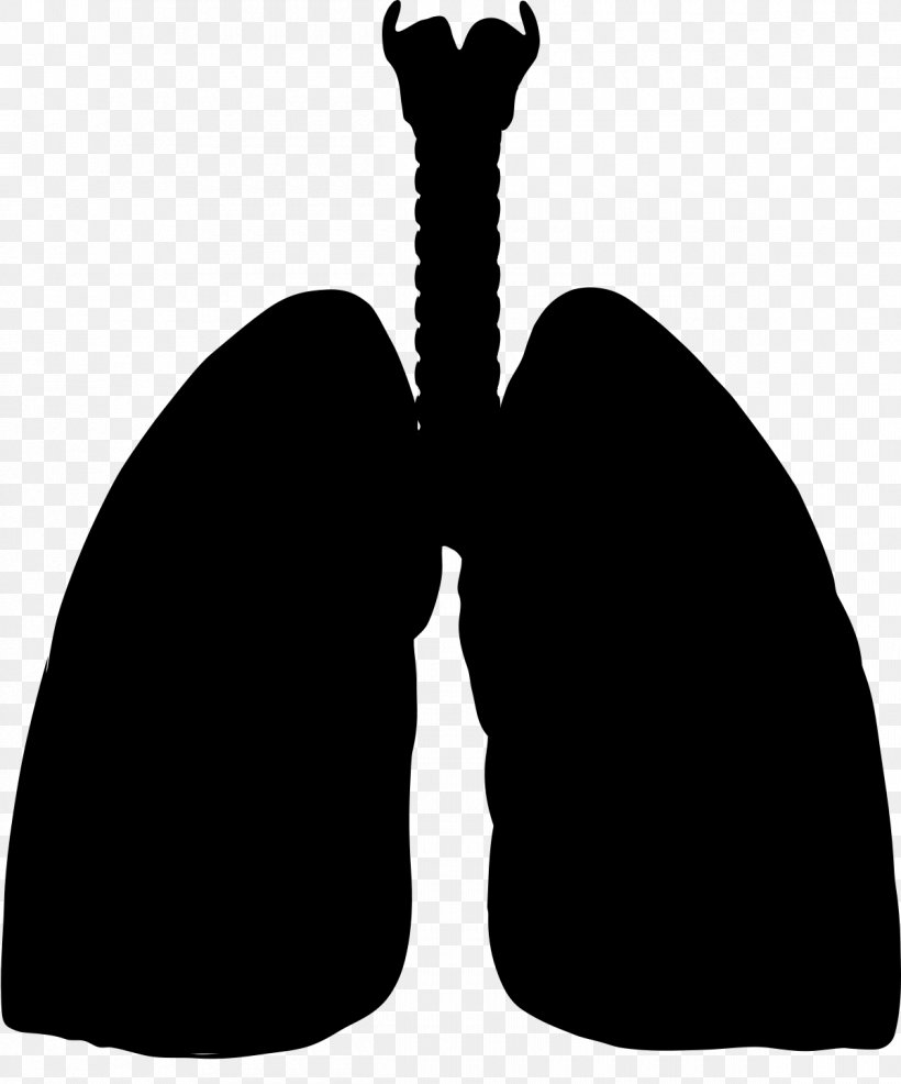Silhouette Lung Vector Graphics Euclidean Vector Font, PNG, 1200x1443px, Silhouette, Black, Blackandwhite, Lung, Uber Download Free