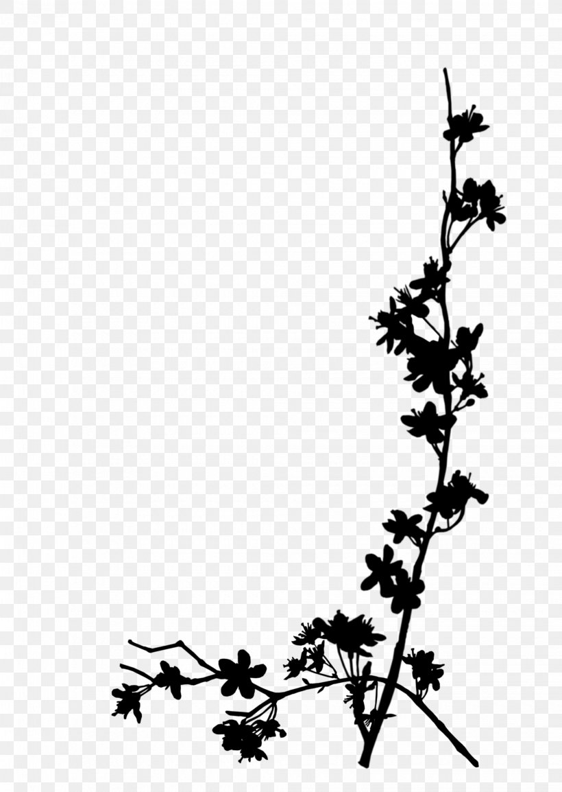 Twig Flower Plant Stem Leaf Font, PNG, 2040x2872px, Twig, Blackandwhite, Branch, Flower, Flowering Plant Download Free