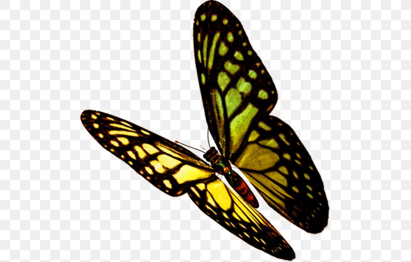 Butterfly Insect Clip Art Image, PNG, 500x524px, Butterfly, Arthropod, Brushfooted Butterfly, Cabbage White, Insect Download Free
