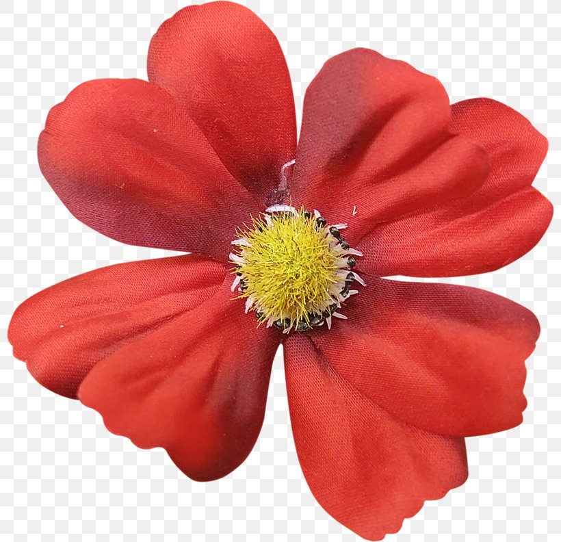 Petal Cut Flowers, PNG, 800x792px, Petal, Cut Flowers, Flower, Flowering Plant, Red Download Free