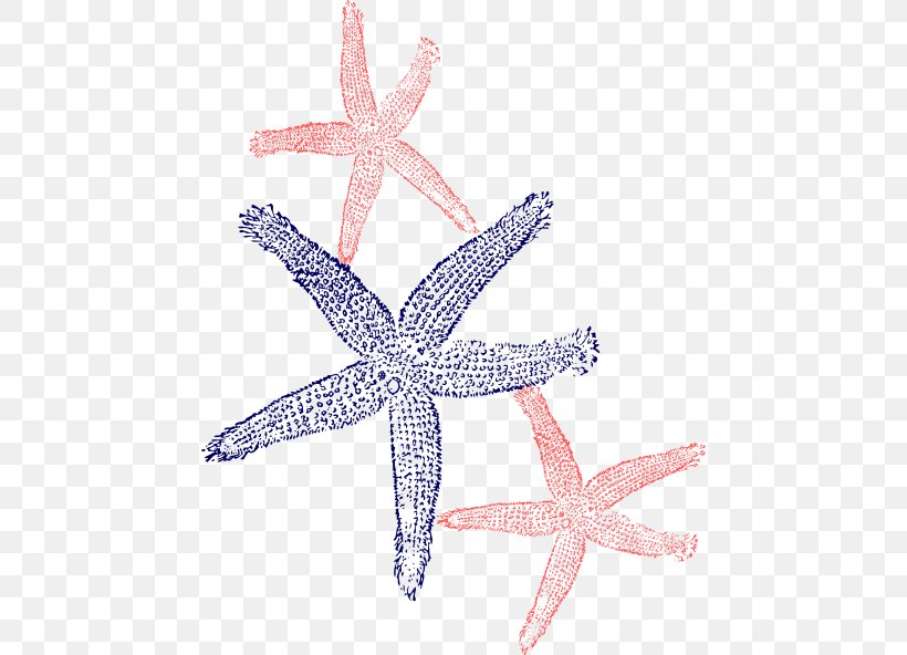 Starfish Clip Art Image, PNG, 456x592px, Starfish, Animal, Drawing, Echinoderm, Invertebrate Download Free
