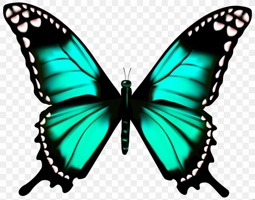 Butterfly Greta Oto Clip Art, PNG, 7000x5503px, Butterfly, Arthropod, Birdwing, Brush Footed Butterfly, Butterfly Net Download Free