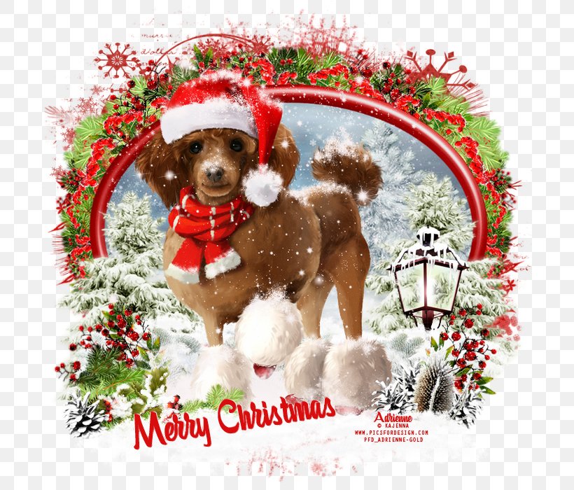 Christmas Ornament Snow Globes Dog Breed Puppy, PNG, 700x700px, 2017, Christmas Ornament, Breed, Carnivoran, Christmas Download Free