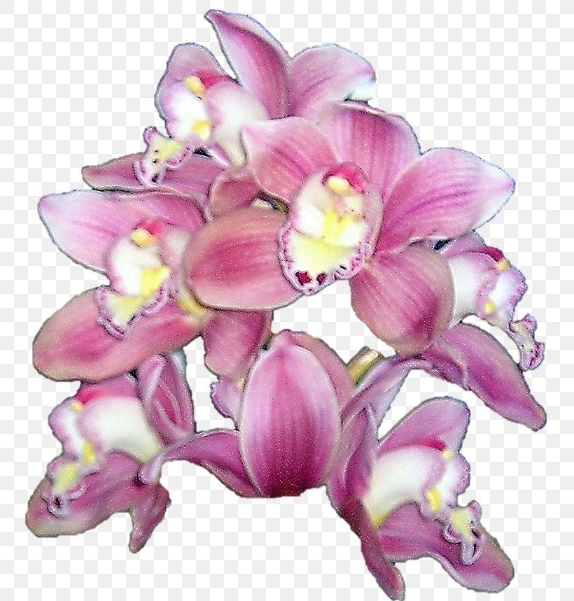Cut Flowers Boat Orchid Orchids Floral Design, PNG, 770x859px, Cut Flowers, Art, Boat Orchid, Floral Design, Floristry Download Free