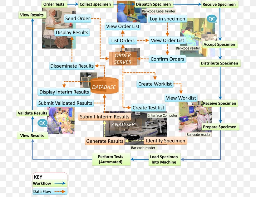 Laboratory Information Management System Medical Laboratory Pathology Histology, PNG, 724x632px, Medical Laboratory, Anatomical Pathology, Area, Clinical Pathology, Diagram Download Free