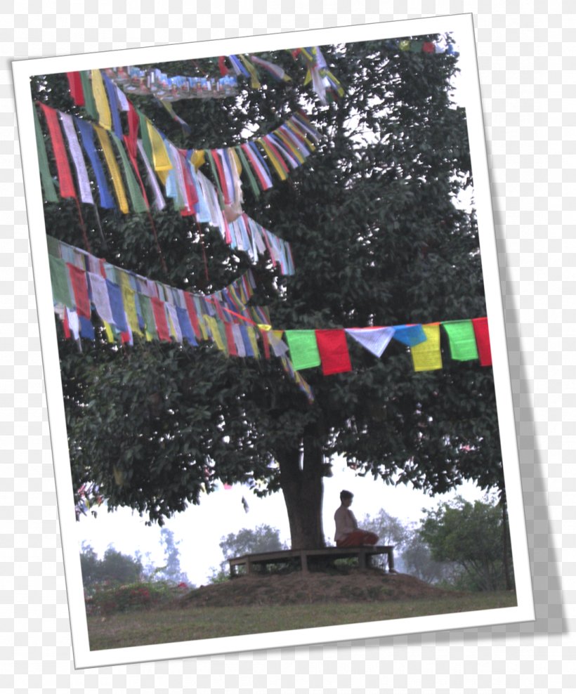 Poster Tree Flag, PNG, 1089x1313px, Poster, Advertising, Flag, Tree Download Free