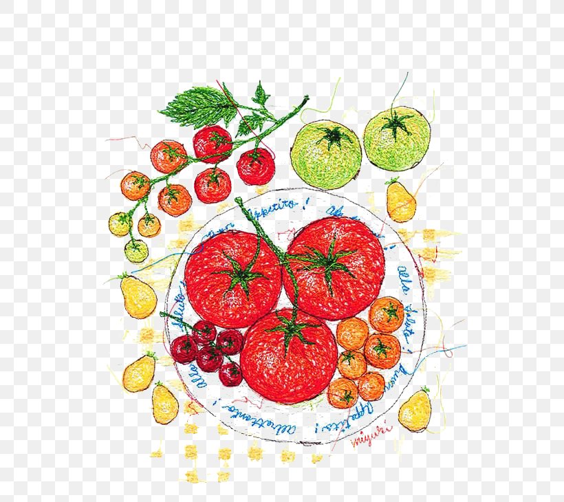 Tomato Watercolor Painting Illustrator Illustration, PNG, 564x730px, Tomato, Art, Artist, Citrus, Cuisine Download Free