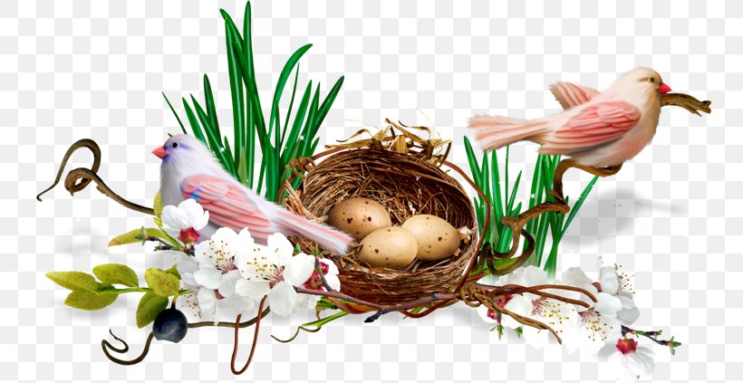 Bird Nest Clip Art Image, PNG, 750x423px, Bird, Bird Nest, Easter, Egg, Floral Design Download Free