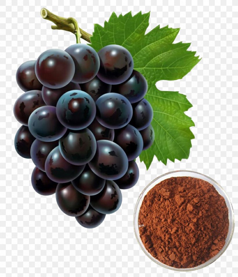 Grape Seed Extract Grape Seed Oil, PNG, 826x960px, Grape Seed Extract, Android Application Package, Auglis, Berry, Cooking Oil Download Free