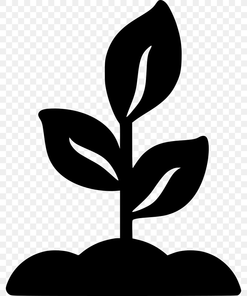 Logo Vector Graphics Plants Shutterstock, PNG, 782x980px, Logo, Blackandwhite, Flower, Leaf, Photography Download Free